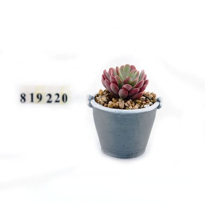 Creative Decorative Artificial Succulent Plant With Cement Pot